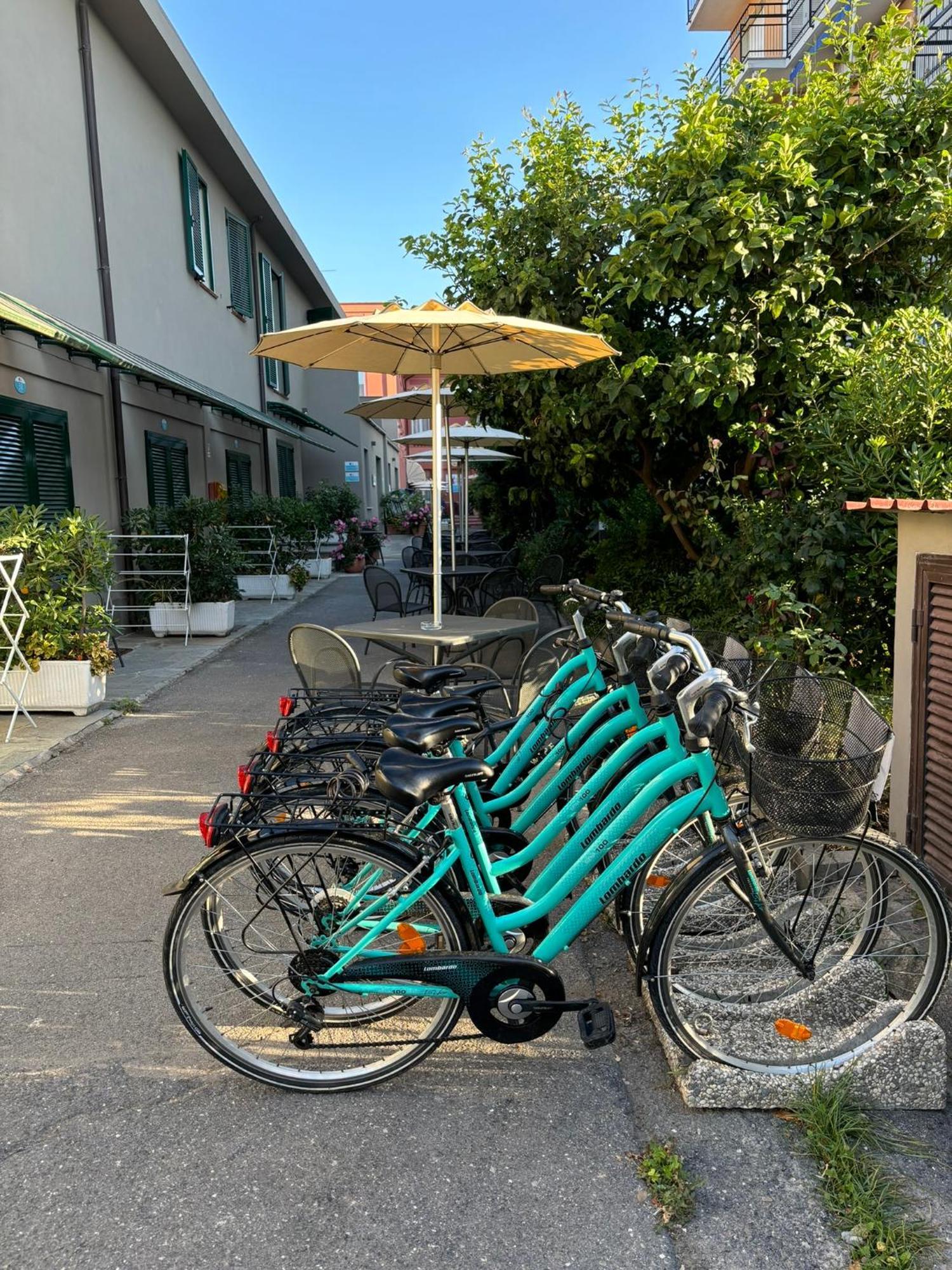 黛勒洛斯酒店 圣巴特罗摩艾美尔 外观 照片